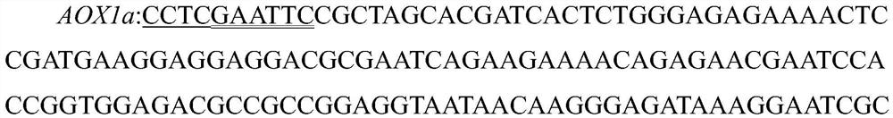 AOX specific antibody combination and preparation method and application thereof