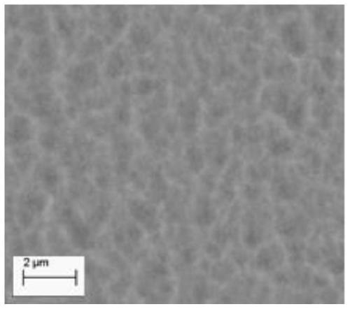 In-situ preparation method of composite modified layer on surface of stainless steel bipolar plate of proton exchange membrane fuel cell