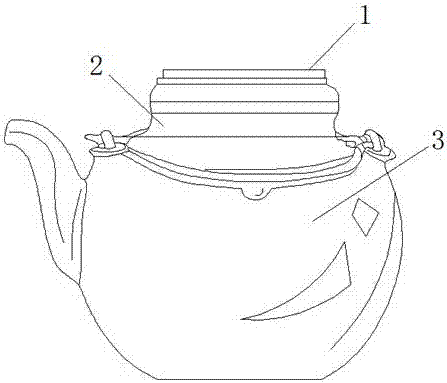 Traditional Chinese medicinal pot convenient for controlling duration and degree of heating