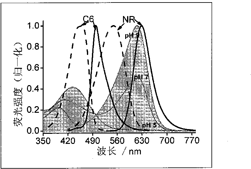 Ratio fluorescent nano hydrogel for pH value sensing and preparation method thereof
