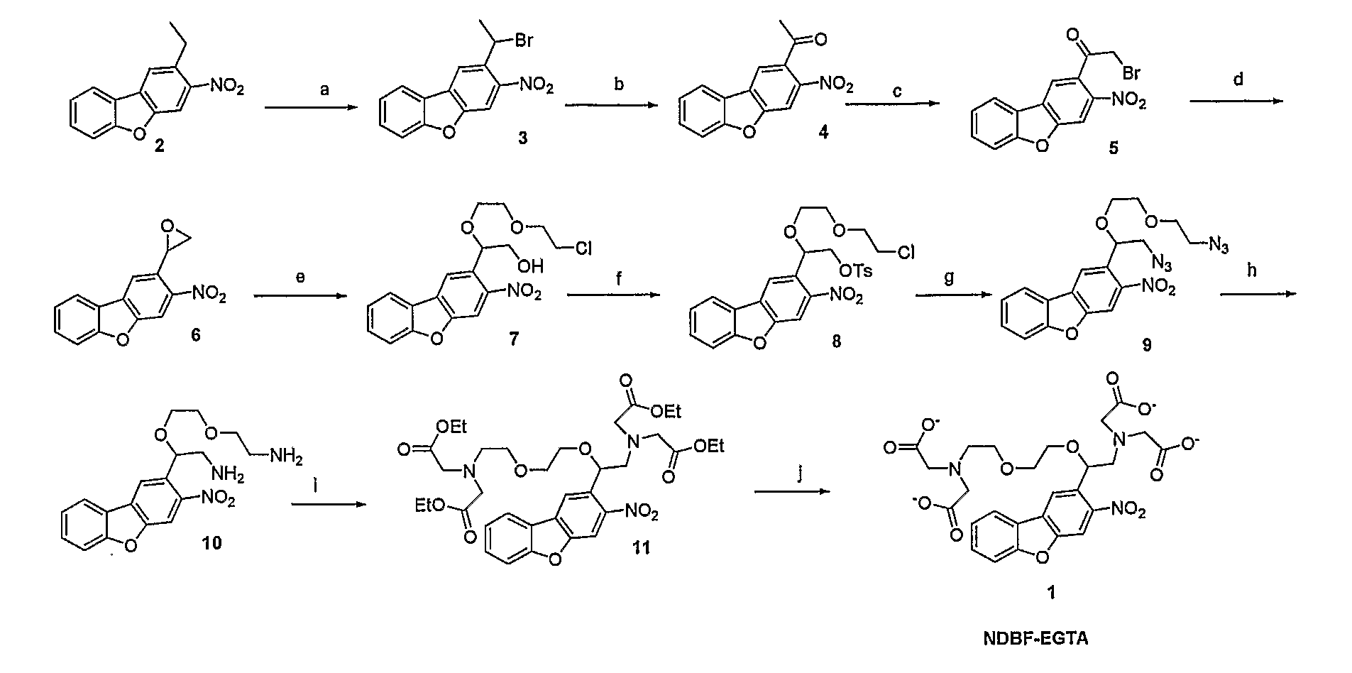 Synthesis of Nitrodibenzylfuran Chromophore For Photodeprotection of Organic Molecules