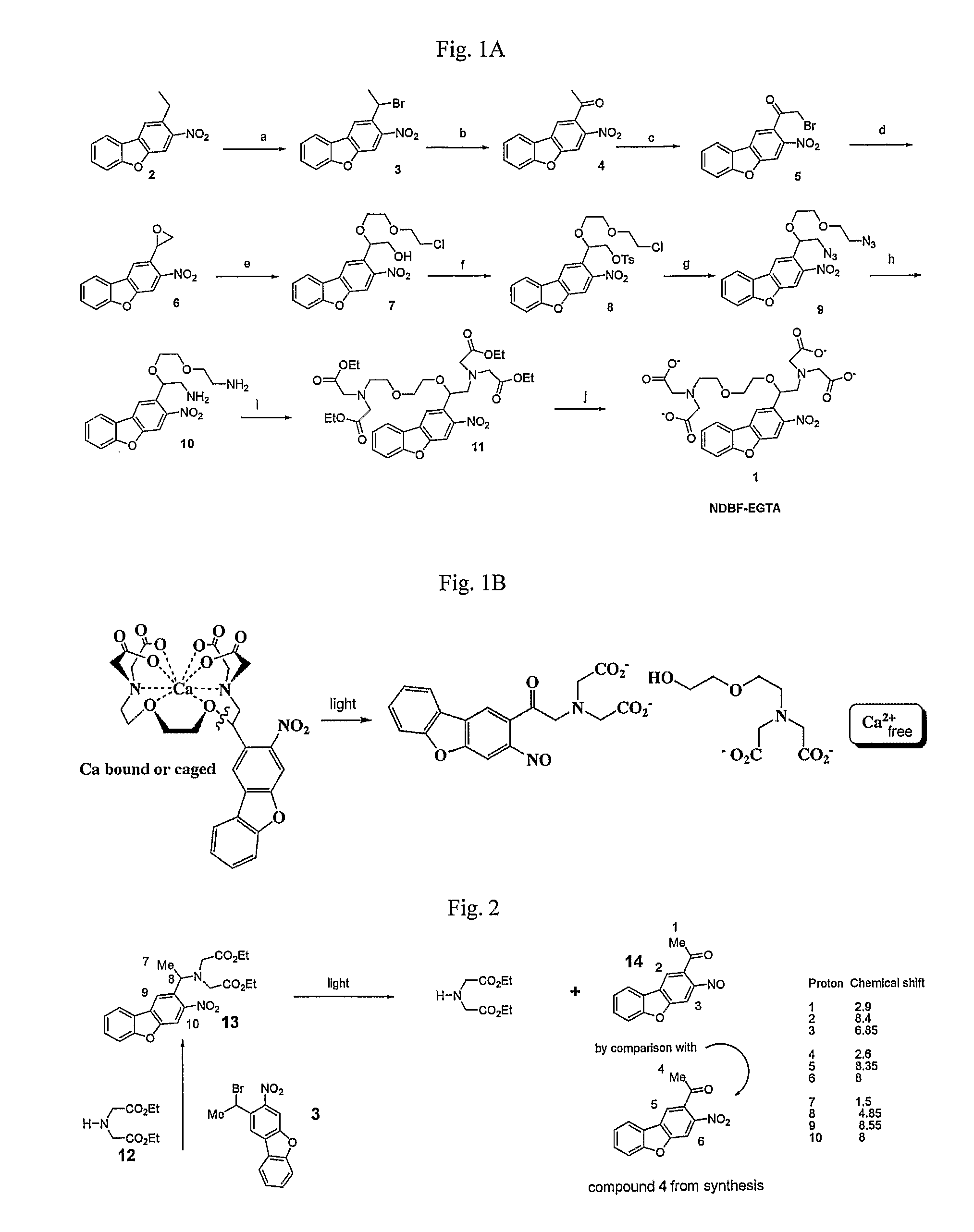 Synthesis of Nitrodibenzylfuran Chromophore For Photodeprotection of Organic Molecules