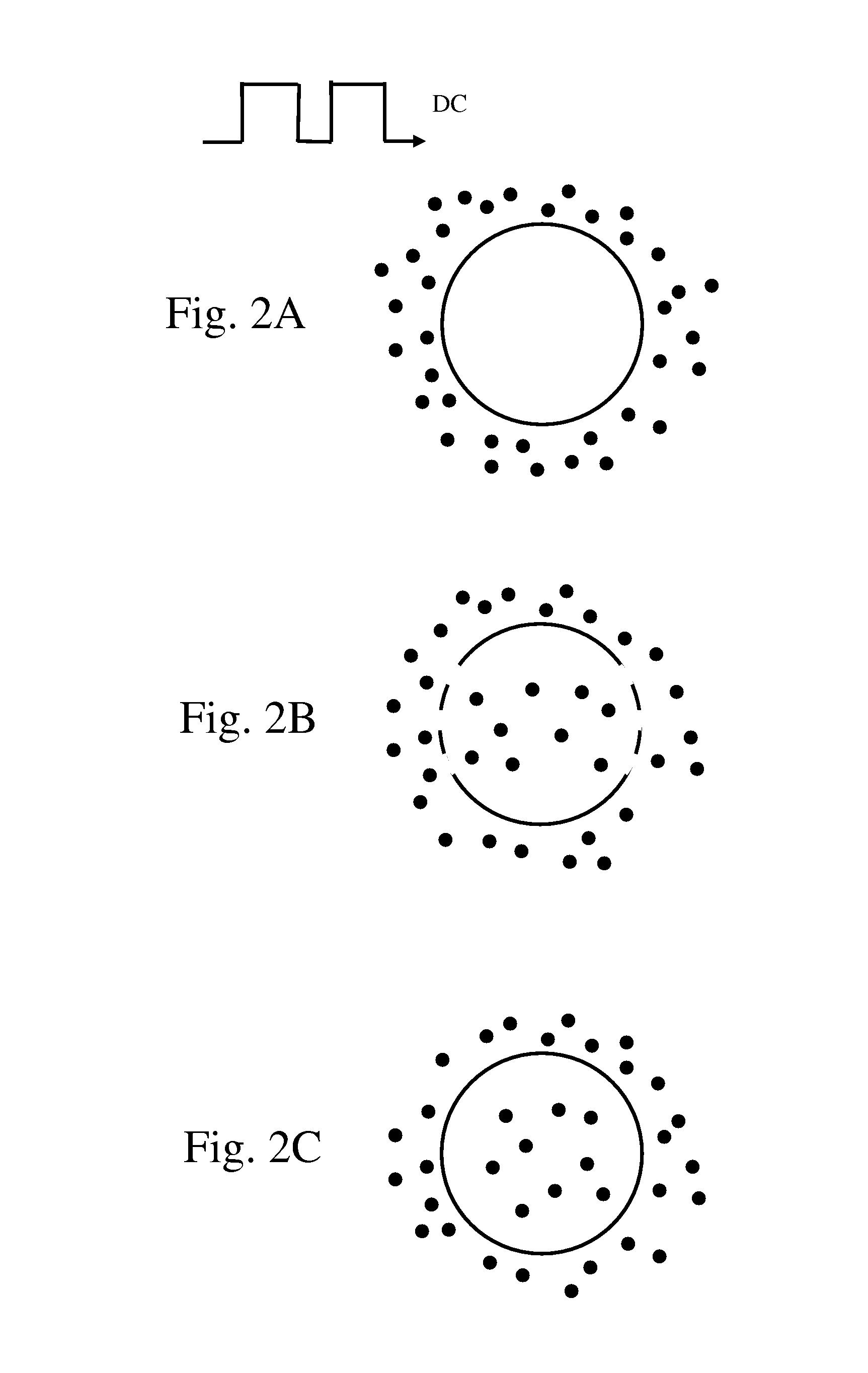 Electroporation and Electrophoresis System and Method for Achieving Molecular Penetration into Cells In Vivo