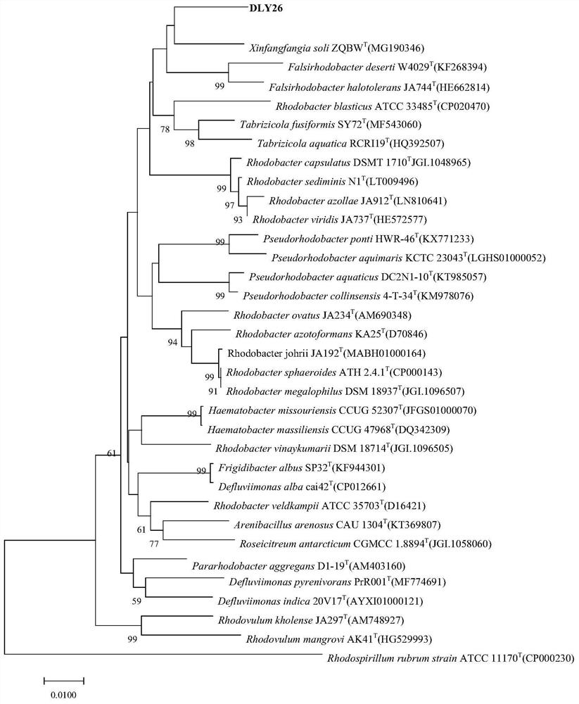 Nitrilase xinit1 and its coding gene and application