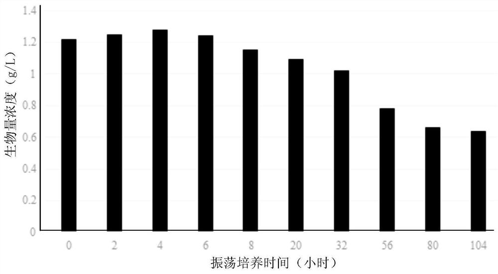 Nitrilase xinit1 and its coding gene and application