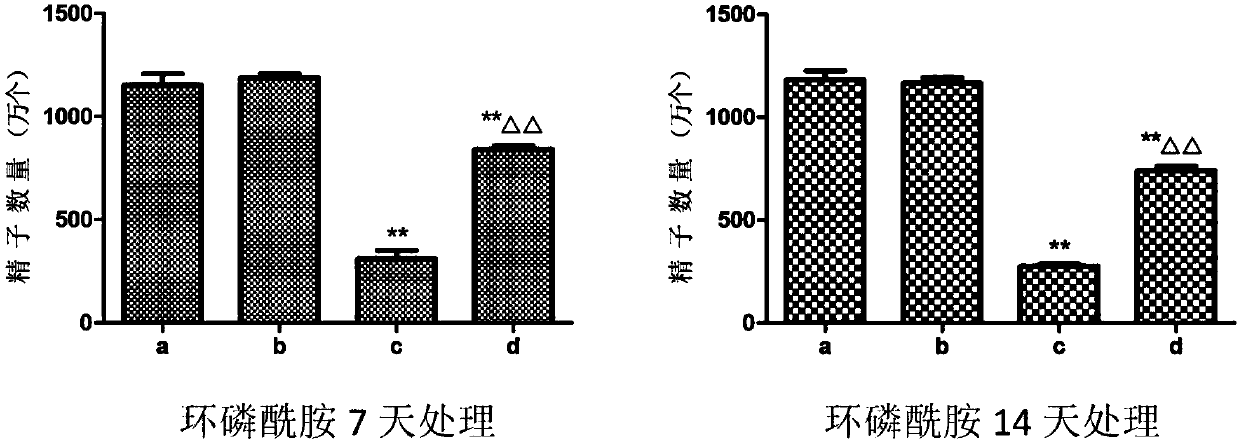Application of dendrobium polysaccharide in preparation of drugs to prevent or restore reproductive injury after chemotherapy
