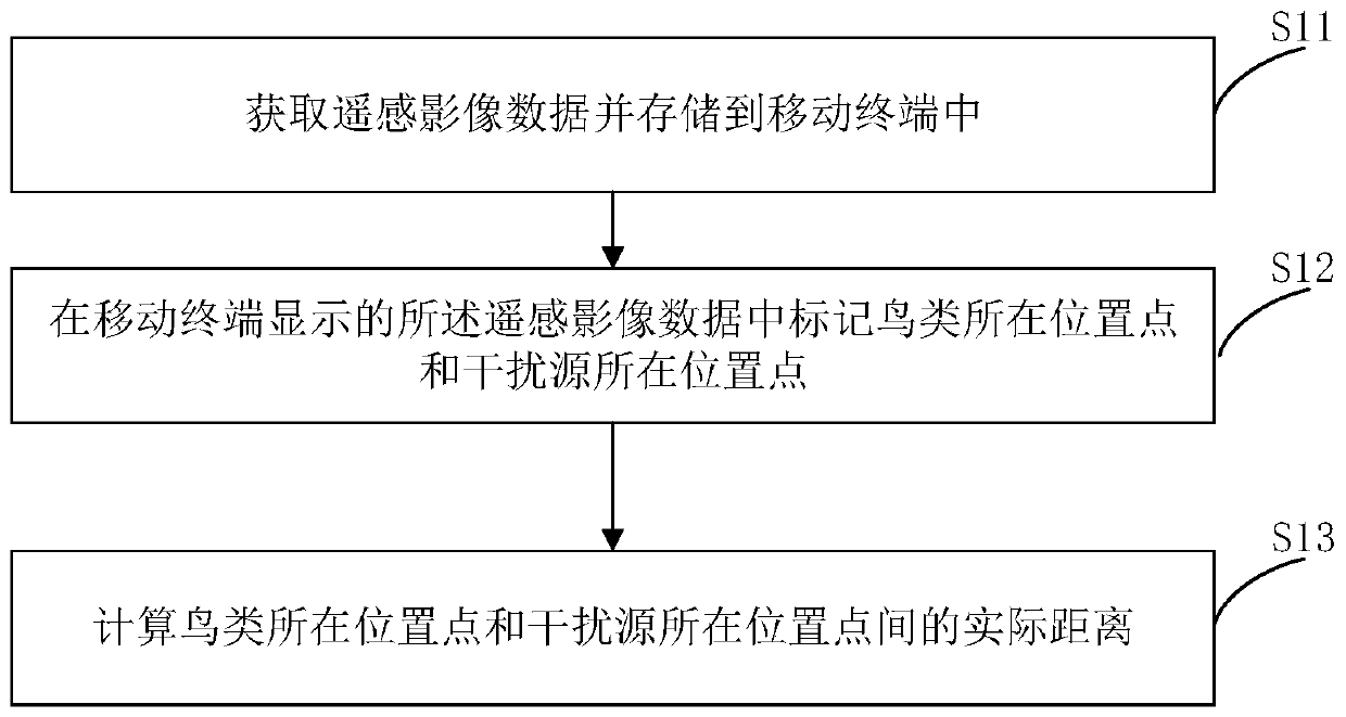 Bird investigation method and device