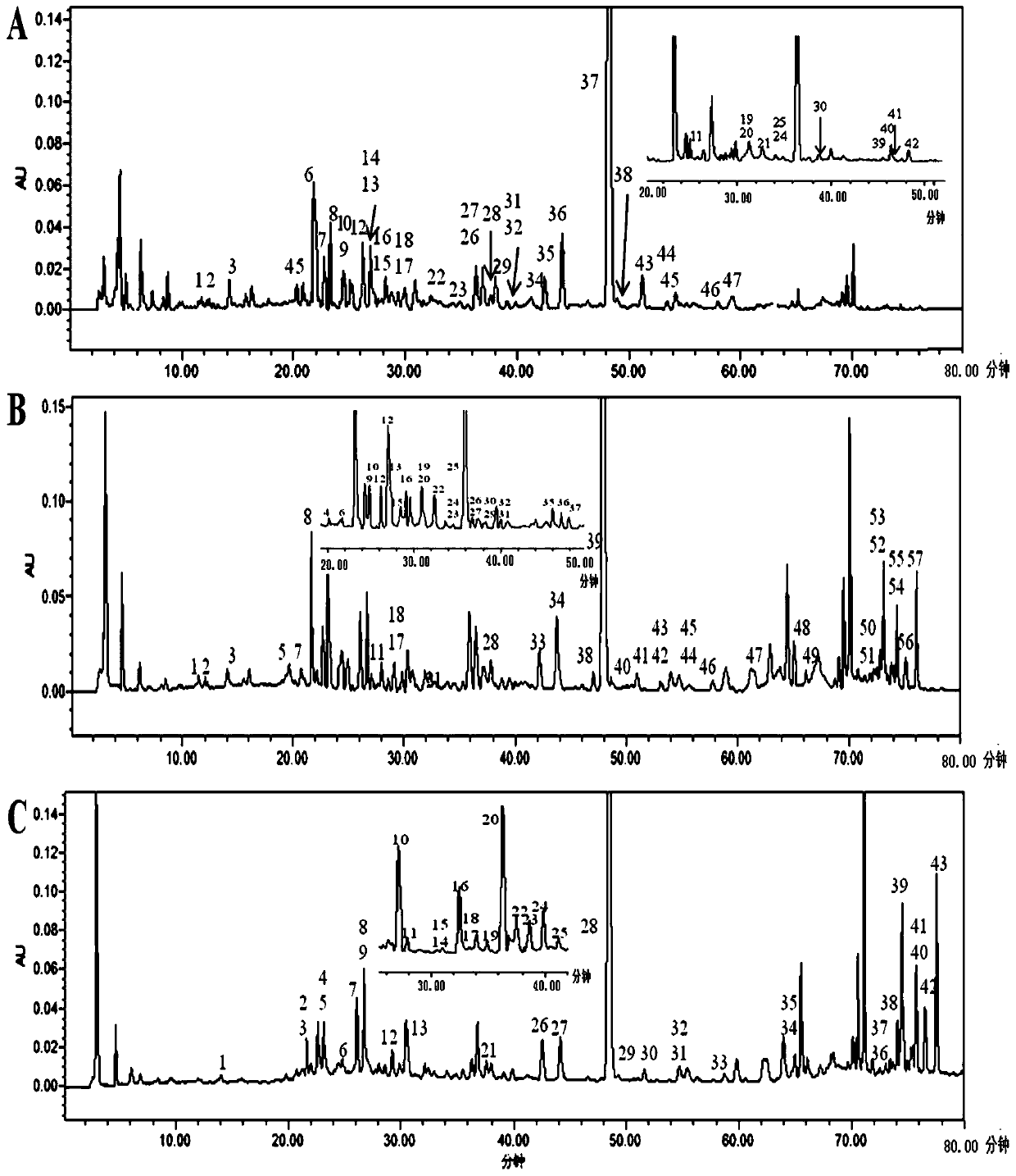 Salvia miltiorrhiza and safflower composition and its preparation method and application