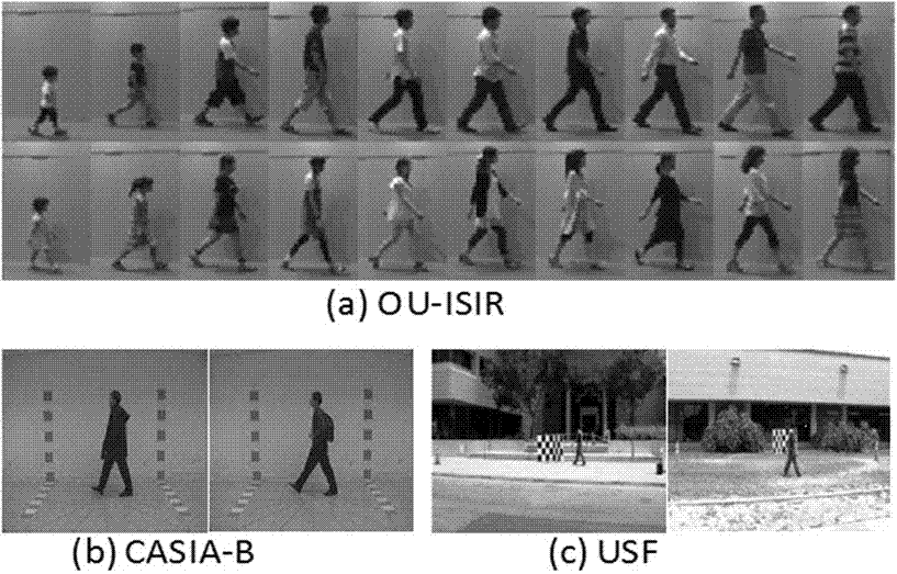 Cross-visual angle gait recognition method based on multitask generation confrontation network