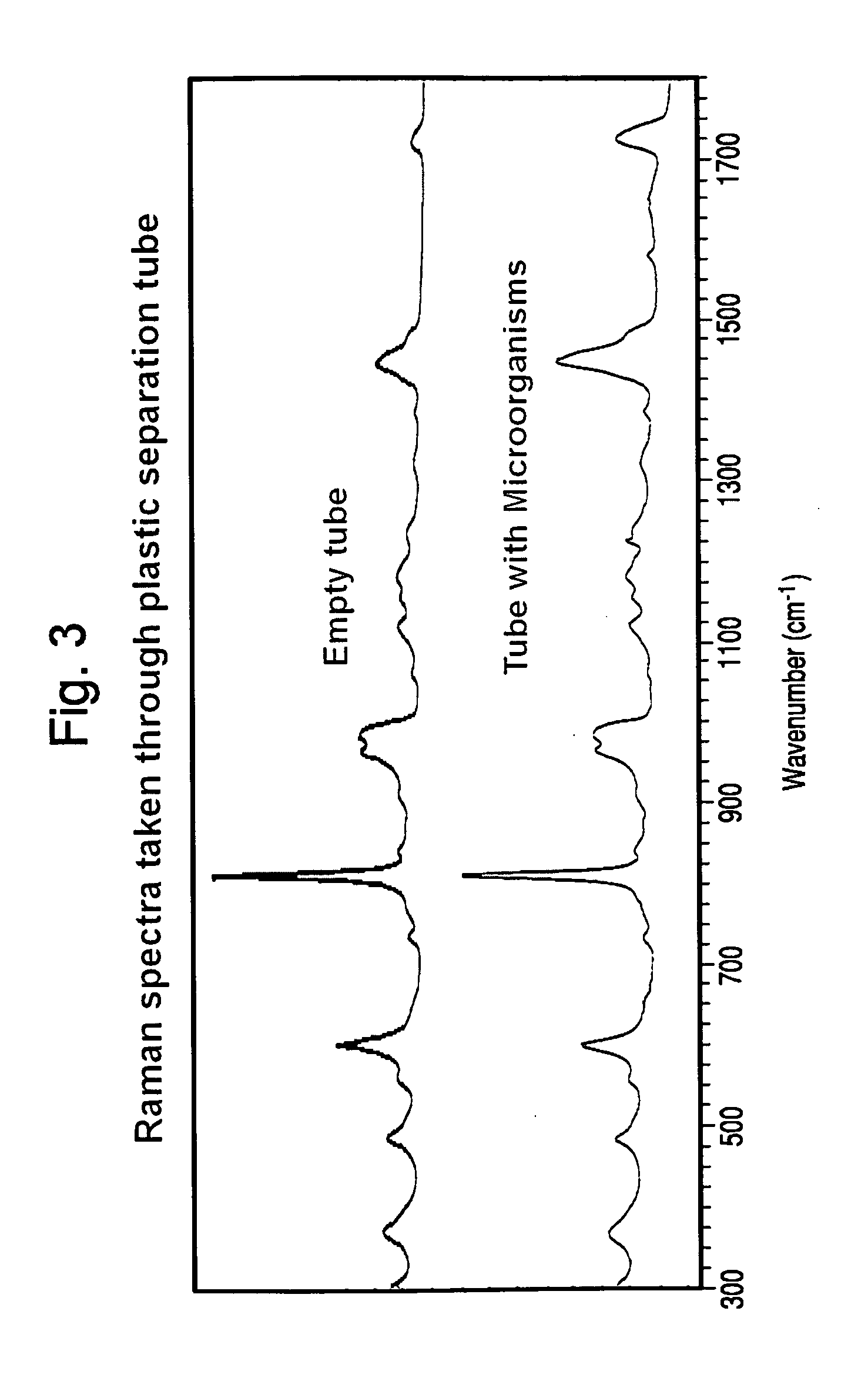 Method for separation, characterization and/or identification of microorganisms using raman spectroscopy