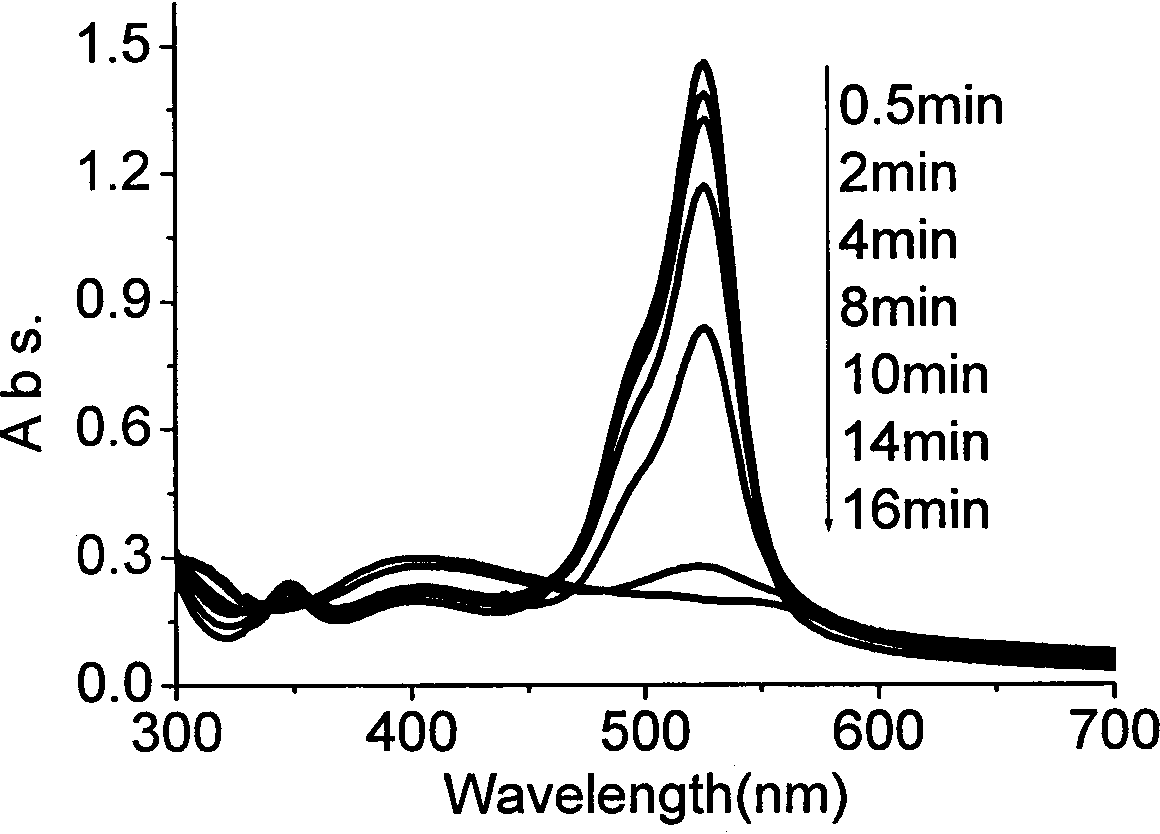 Method for in-situ detection of nano noble metal catalyst