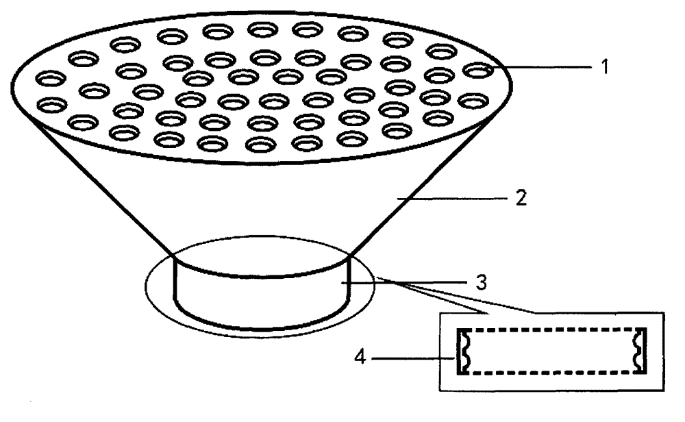 Shower head device for being matched with mineral water bottle