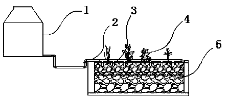 Method and system for denitrifying low-carbon high-nitrogen sewage by utilizing plant carbon source-enhanced artificial wetland