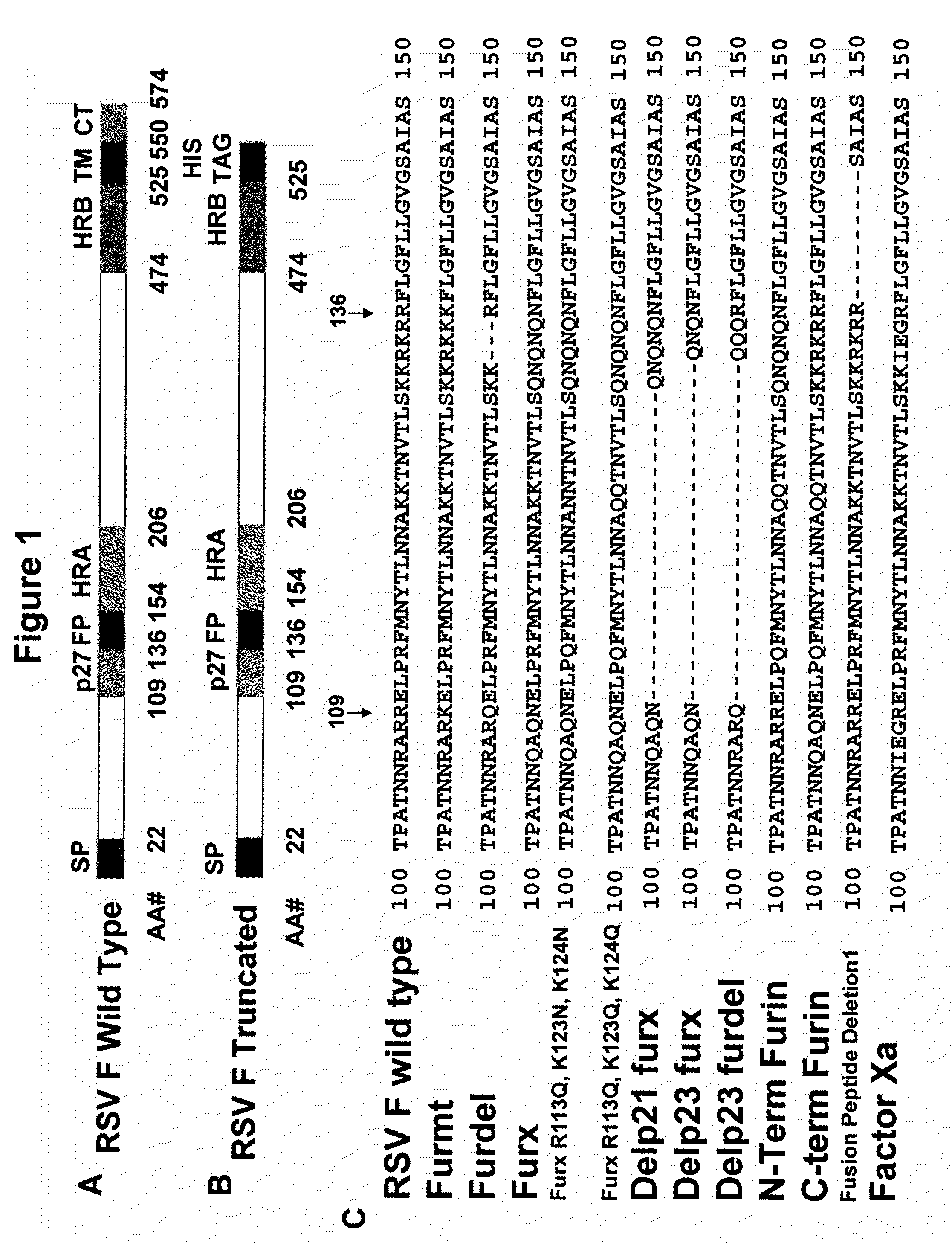 Rsv f protein compositions and methods for making same