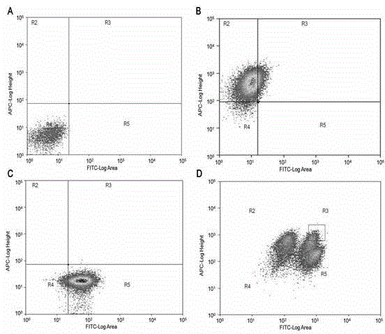 Construction of novel sugar alcohol-producing yeast strain genome rearrangement technology and application thereof