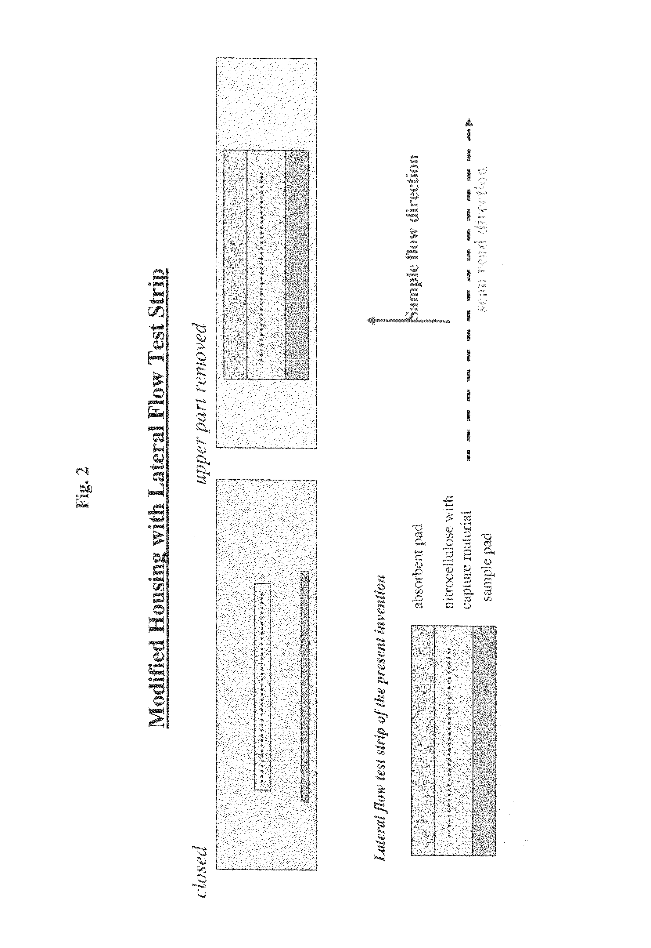 Lateral flow assay device with multiple equidistant capture zones