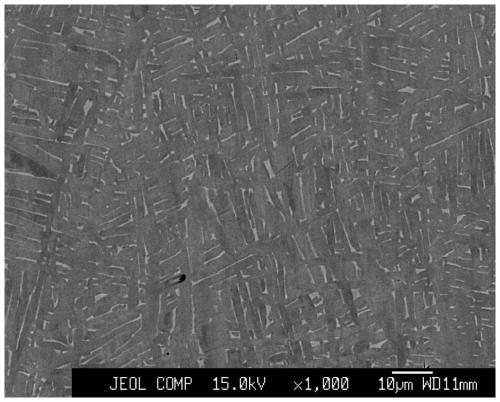 Titanium alloy and preparation method thereof