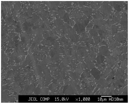 Titanium alloy and preparation method thereof