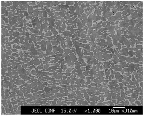 Titanium alloy and preparation method thereof