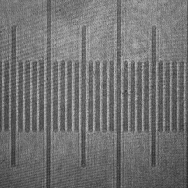 Automatic focusing method for bone marrow smear