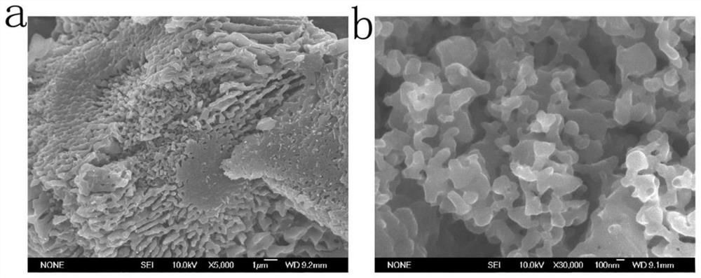 A kind of preparation method of cobalt sulfide/carbon nano catalyst of rechargeable zinc-air battery