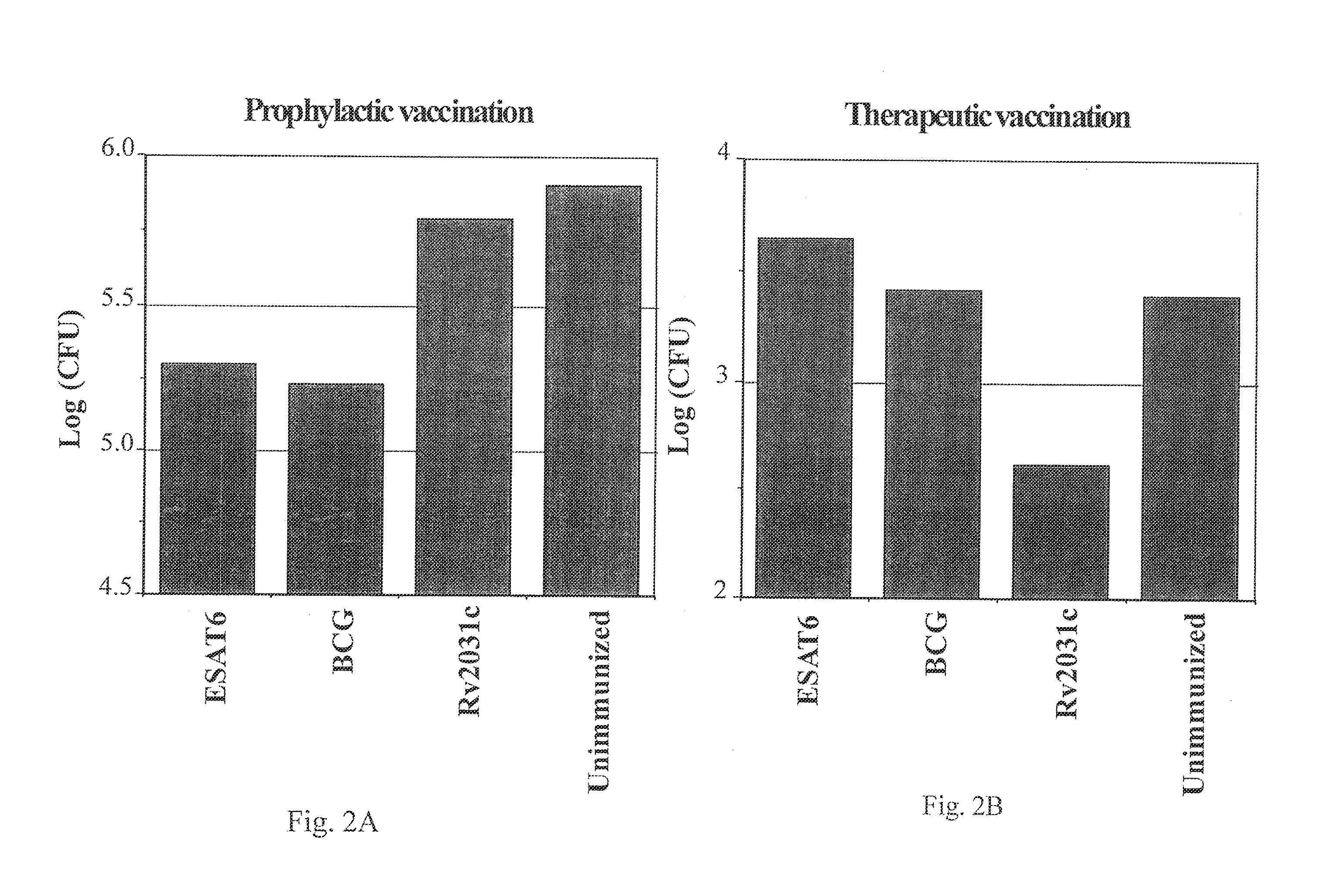 Therapeutic TB vaccine