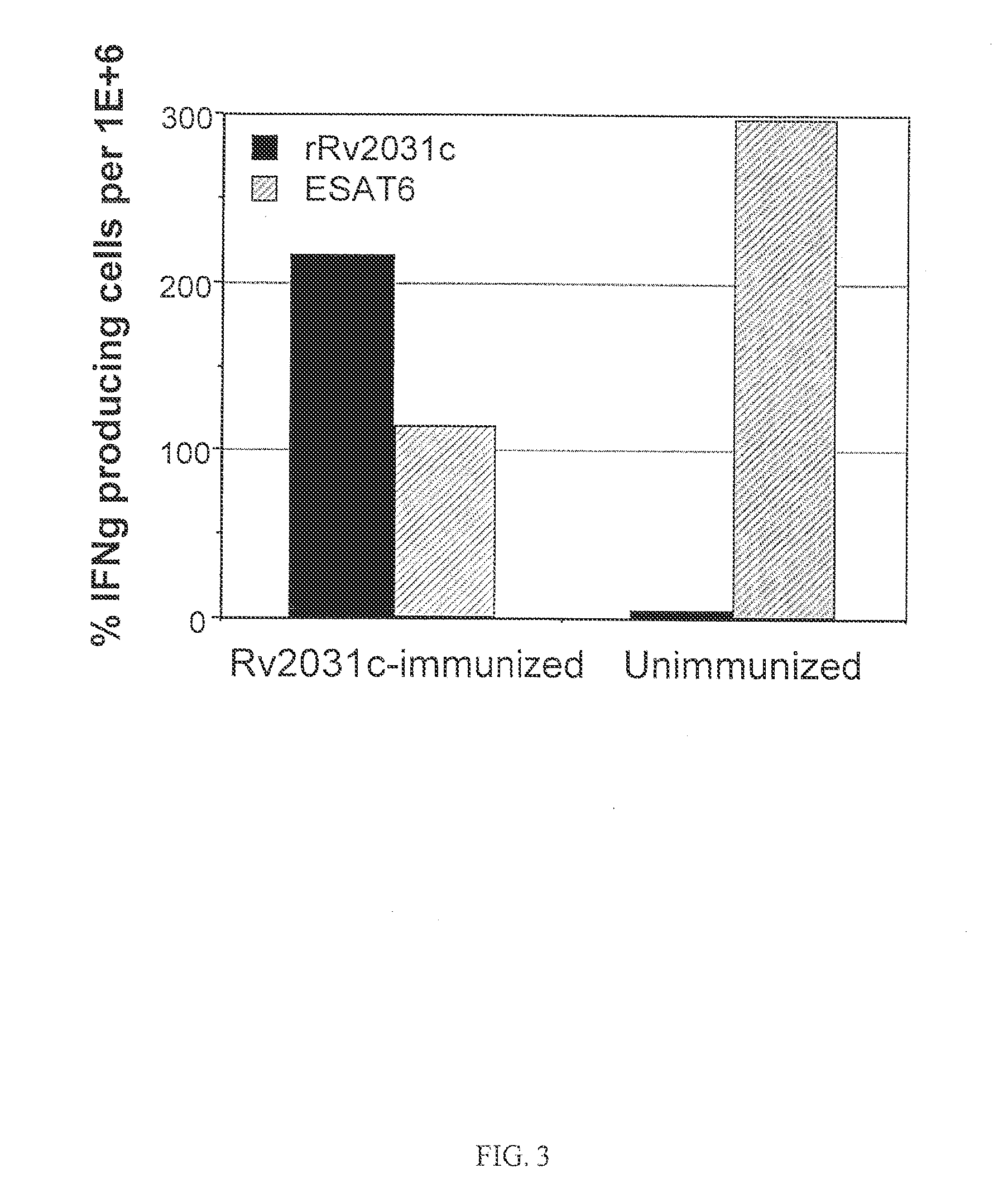 Therapeutic TB vaccine