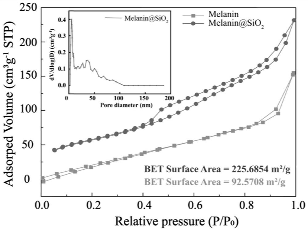 Modified natural melanin core-shell nanoparticles as well as preparation method and application thereof