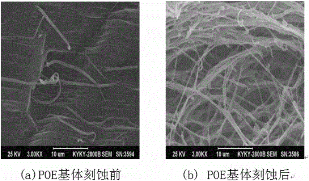 In-situ-formed-fiber-reinforced thermoplastic elastomer film material and preparation method thereof