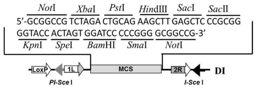 Application of photorespiratory branch protein in regulation and control of plant traits