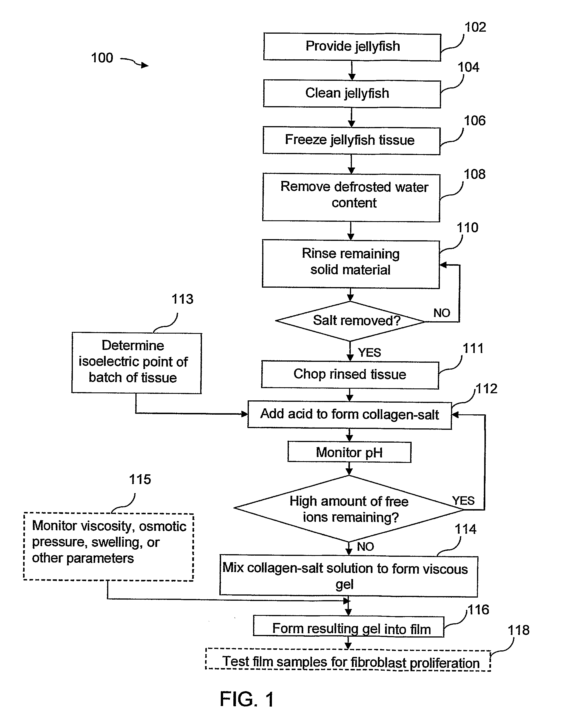 Colloidal collagen burn wound dressing produced from jellyfish