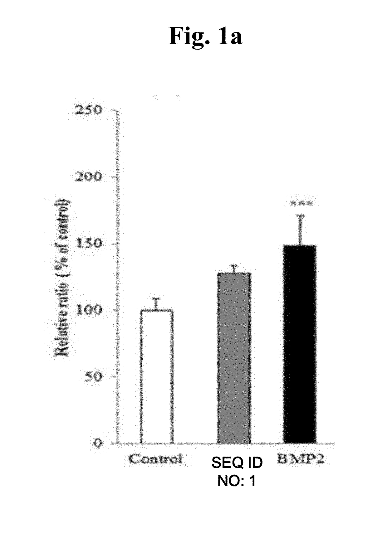 Peptide having osteogenic differentiation promotion and periodontal ligament fibroblast activation promotion, and use of same