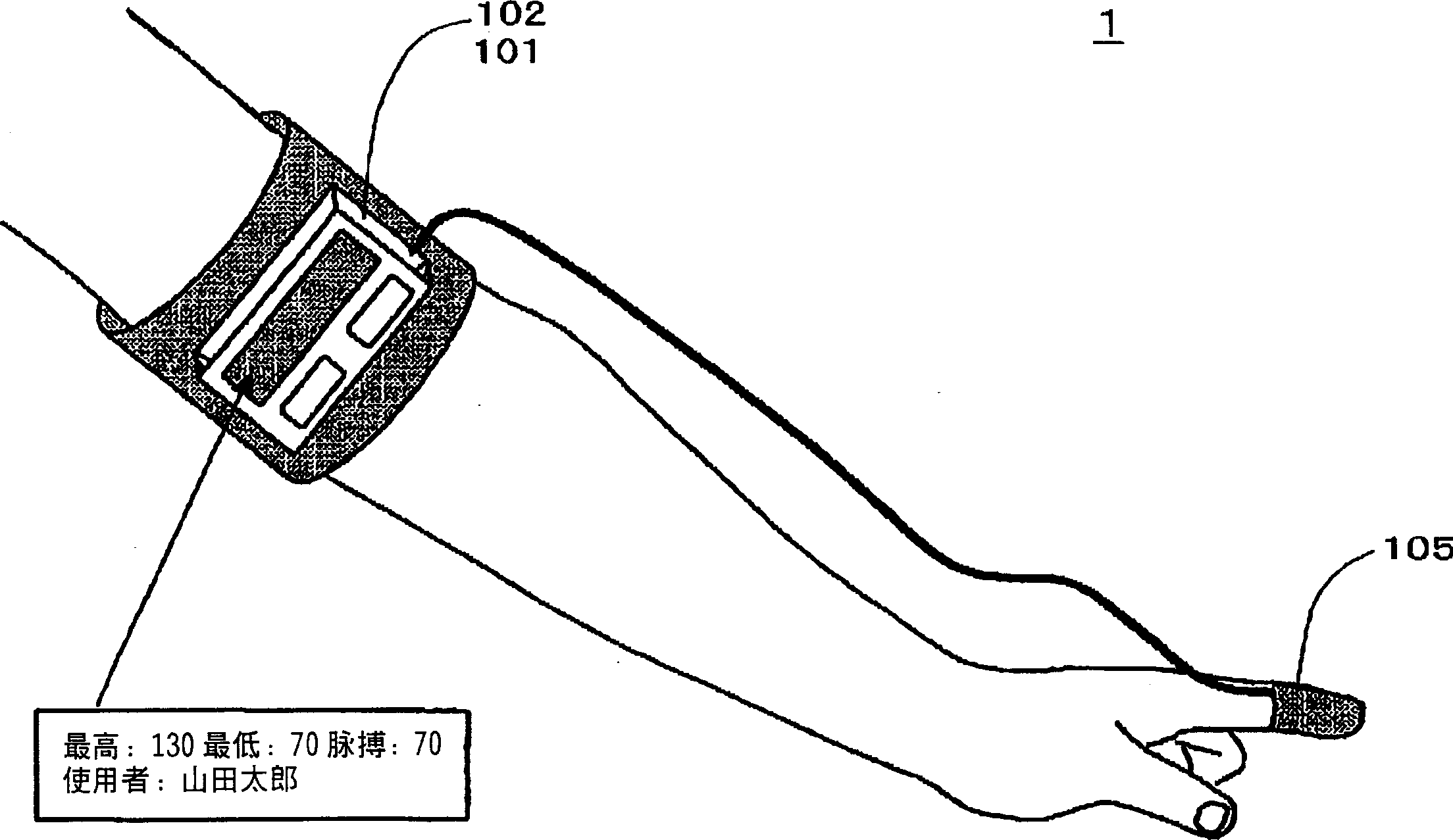 Body information measuring apparatus and sports equipment