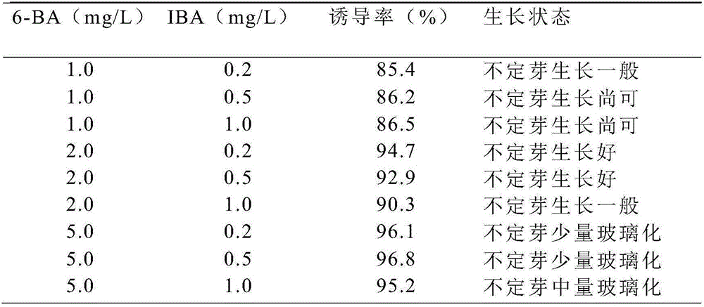 Method for tissue culture and rapid propagation of Urena procumbens Linn.