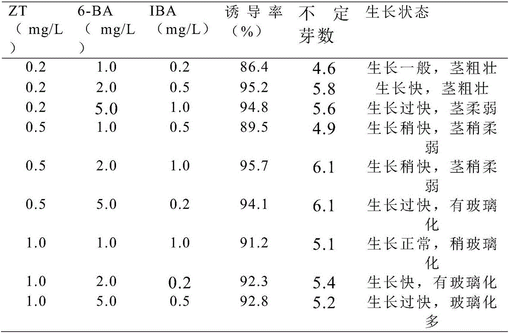 Method for tissue culture and rapid propagation of Urena procumbens Linn.