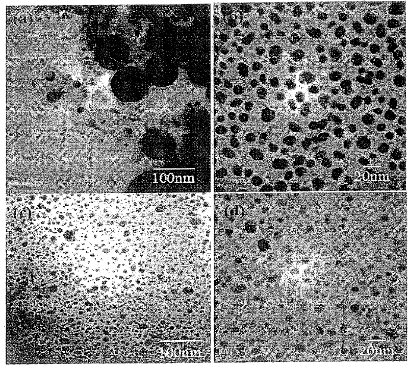 Green synthesis of nanometals using plant extracts and use thereof