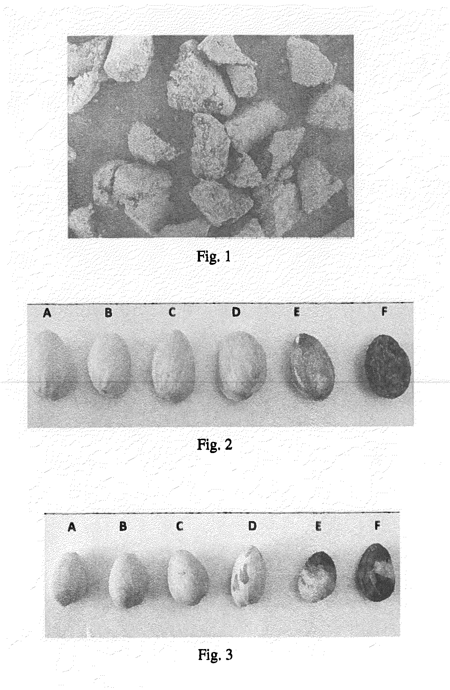 Liquid detergent composition with abrasive particles