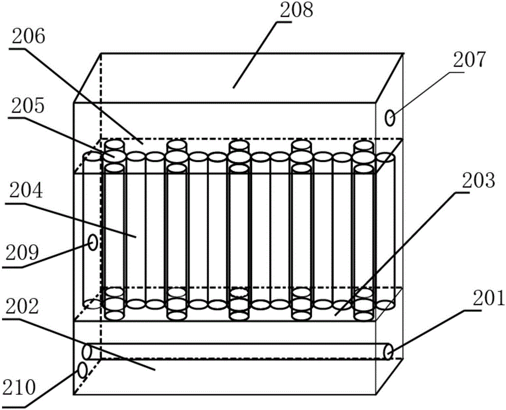 Method for performing supercritical carbon dioxide bio-enzyme scouring/bleaching/dyeing on bast fiber coarse yarns