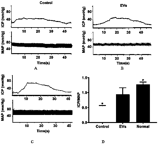 Extracellular vesicle-containing injectable hydrogel for treating erectile dysfunction and preparation method of extracellular vesicle-containing injectable hydrogel