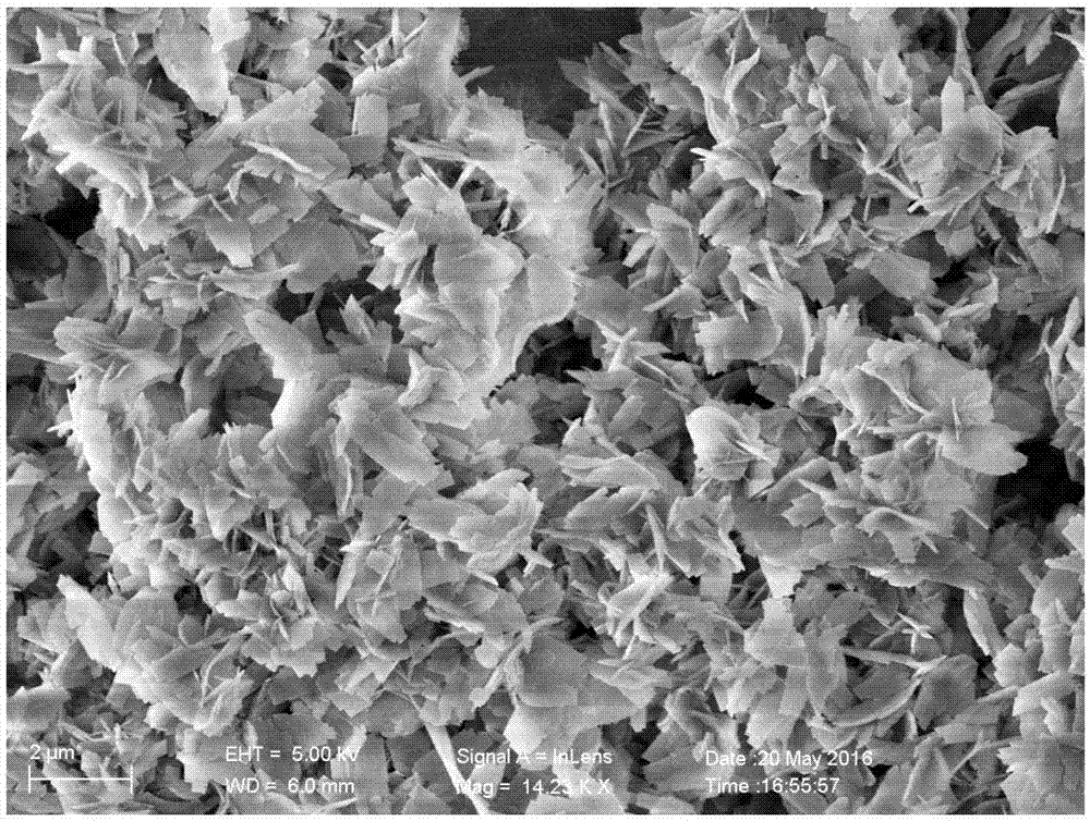 Self-supporting lithium-sulfur battery cathode material with high sulfur load and preparation method of self-supporting lithium-sulfur battery cathode material