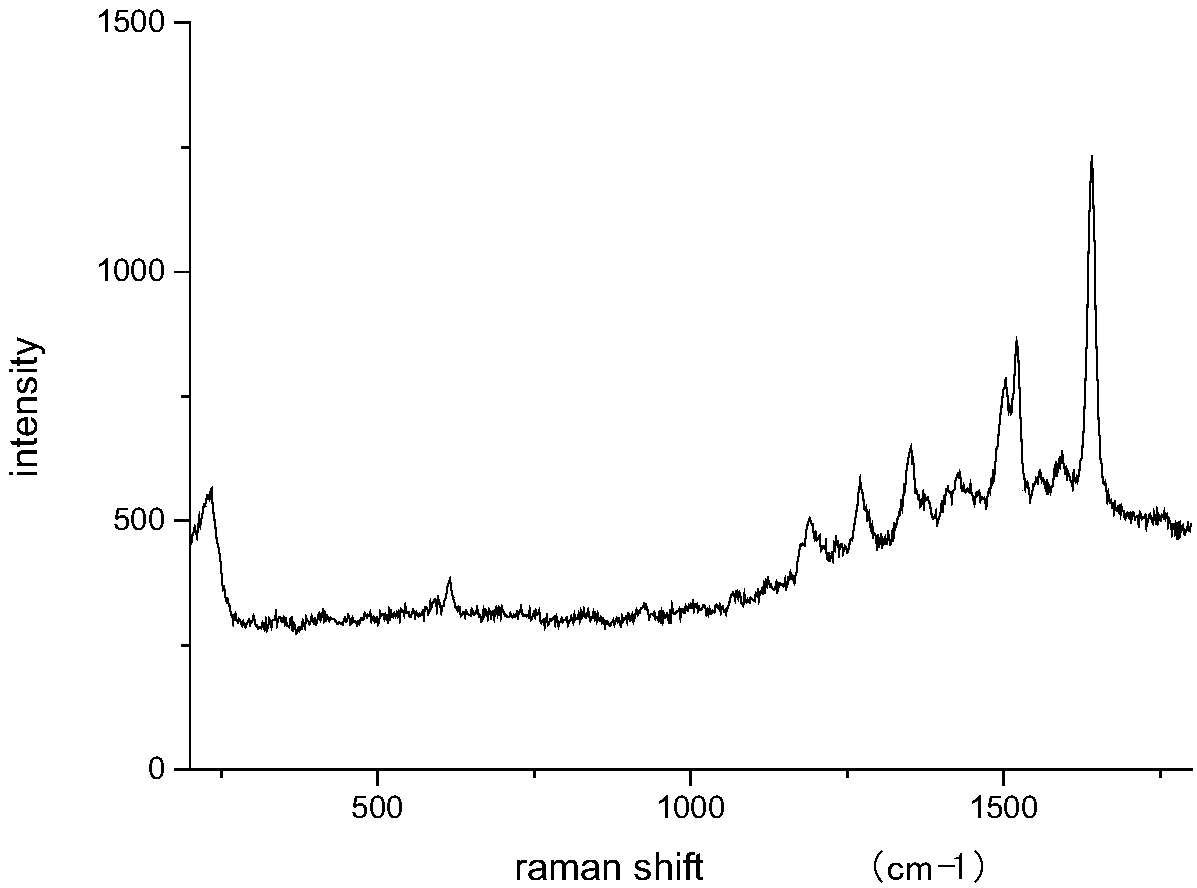 Preparation method for silver nanoflower with surface Raman enhancement effect