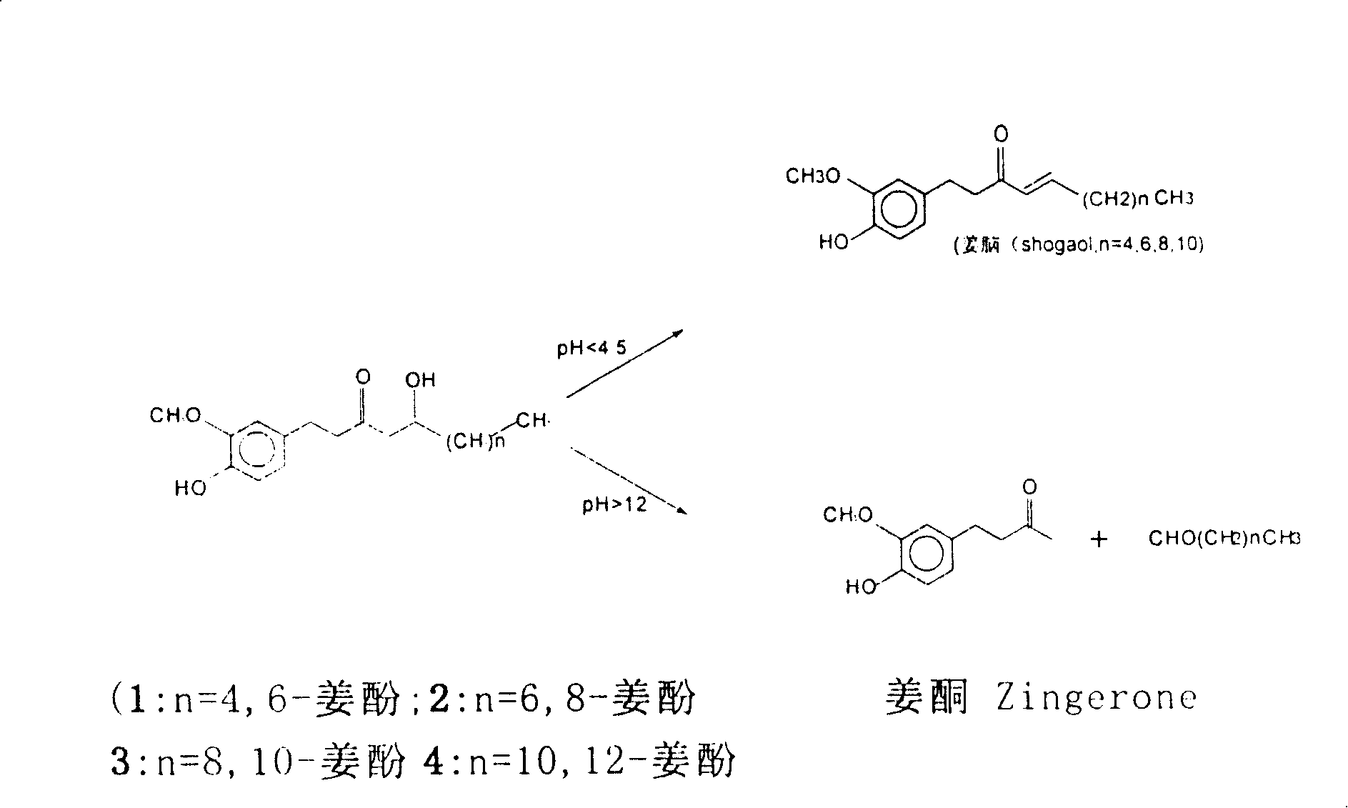 Method for measuring ginger utilizing 6-gingerol oxime and 6-gingerol in products thereof