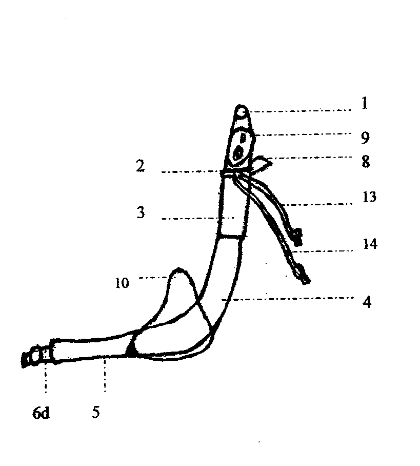 Multifunctional on-throat vent hood