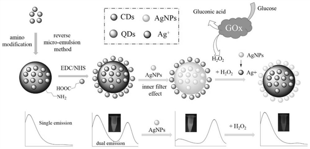 Dual-response ratiometric fluorescent probe based on dual detection mechanism and its construction method