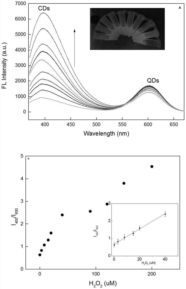 Dual-response ratiometric fluorescent probe based on dual detection mechanism and its construction method