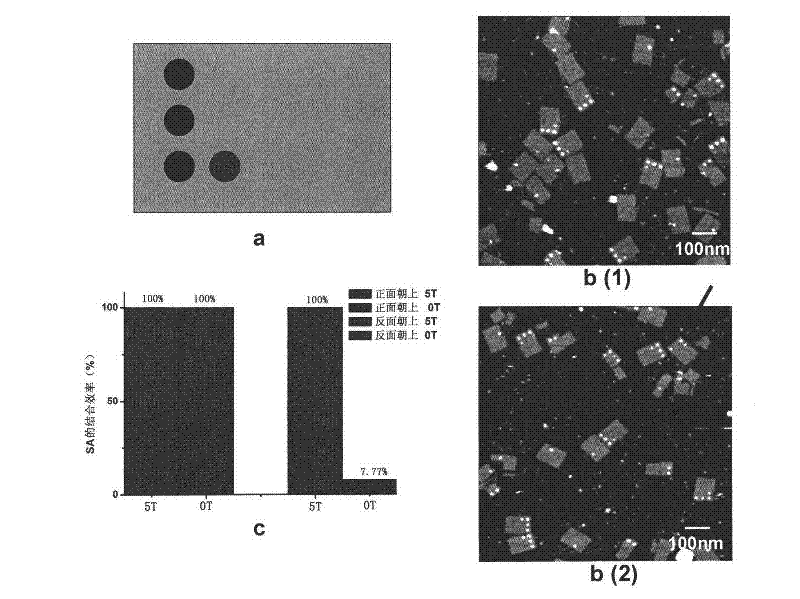 Method related to DNA (Deoxyribose Nucleic Acid) folded paper and structure and application thereof