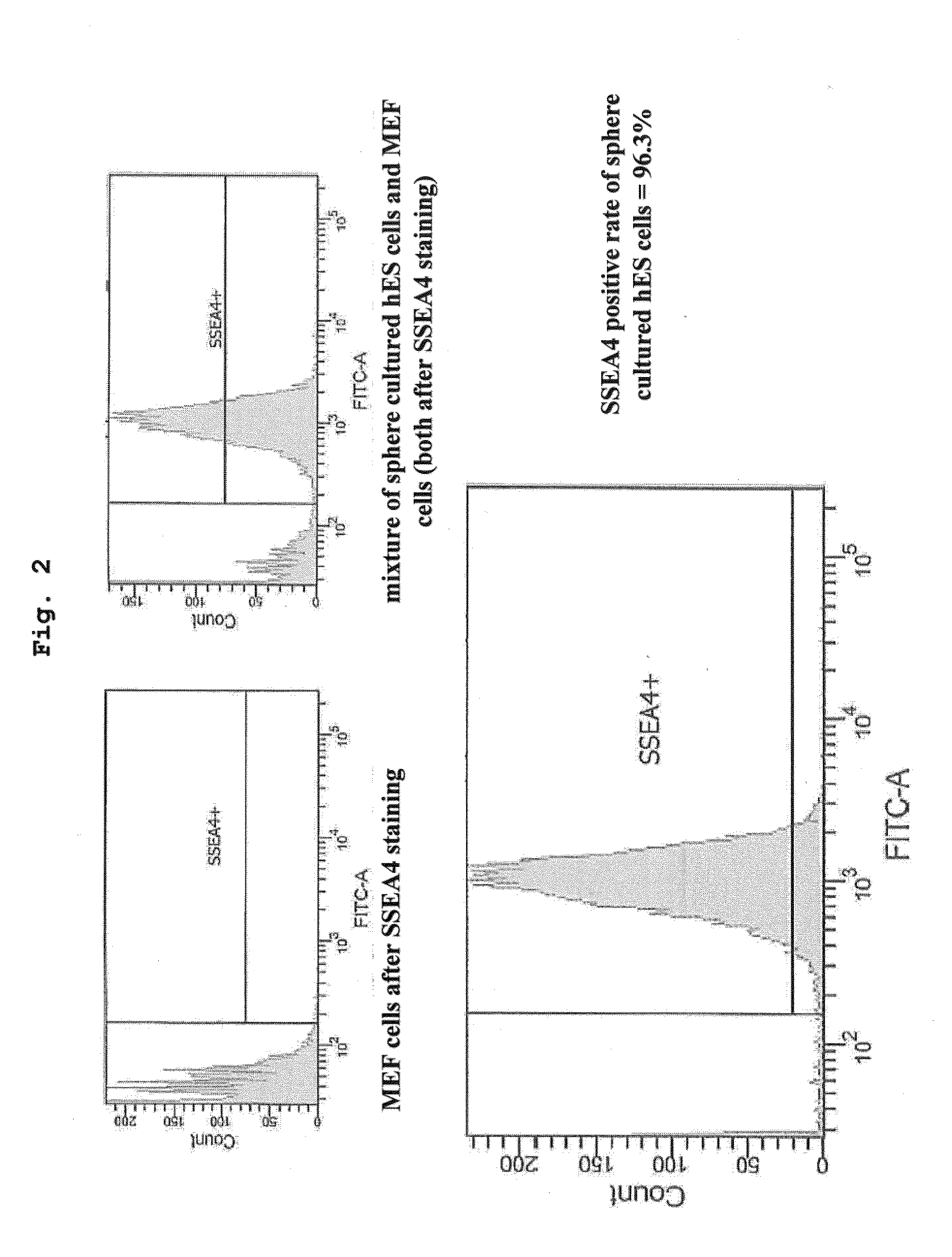 Method for culturing pluripotent stem cell