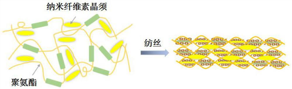 Preparation method of high-strength and high-toughness bionic fiber