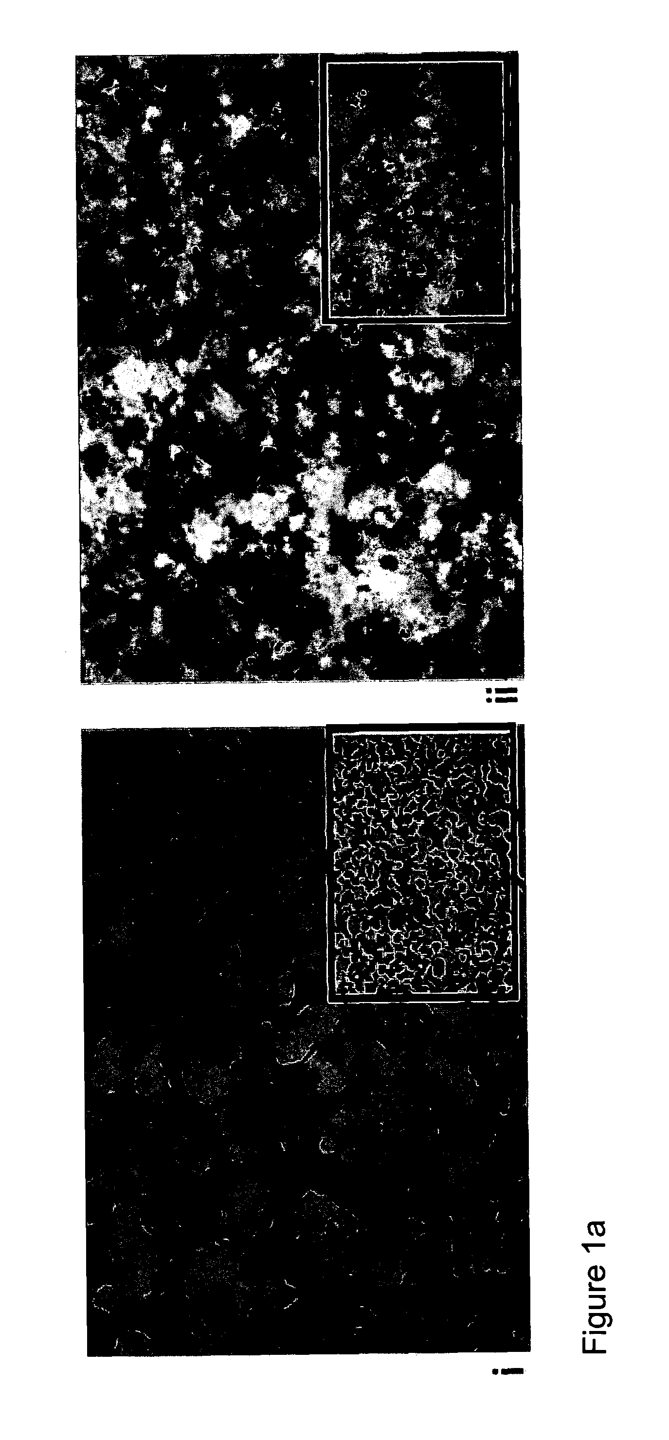 Methods and compositions