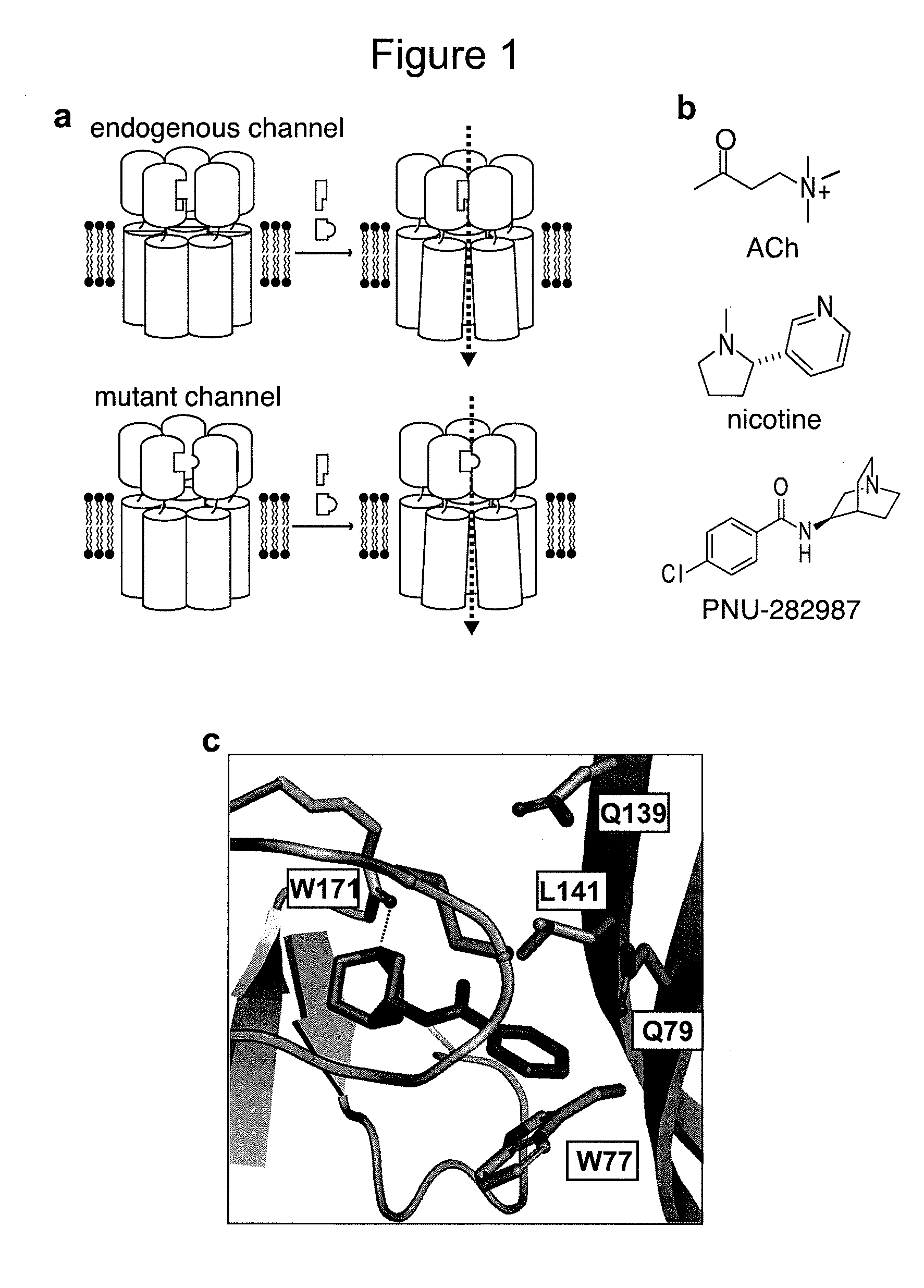 Novel chimeric ligand-gated ion channels and methods of use thereof